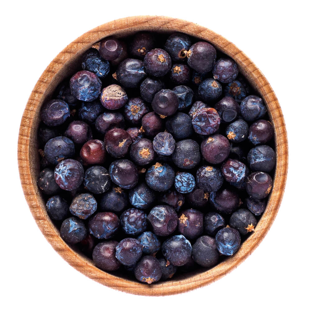 Juniperusfrucht Juniperusfrucht