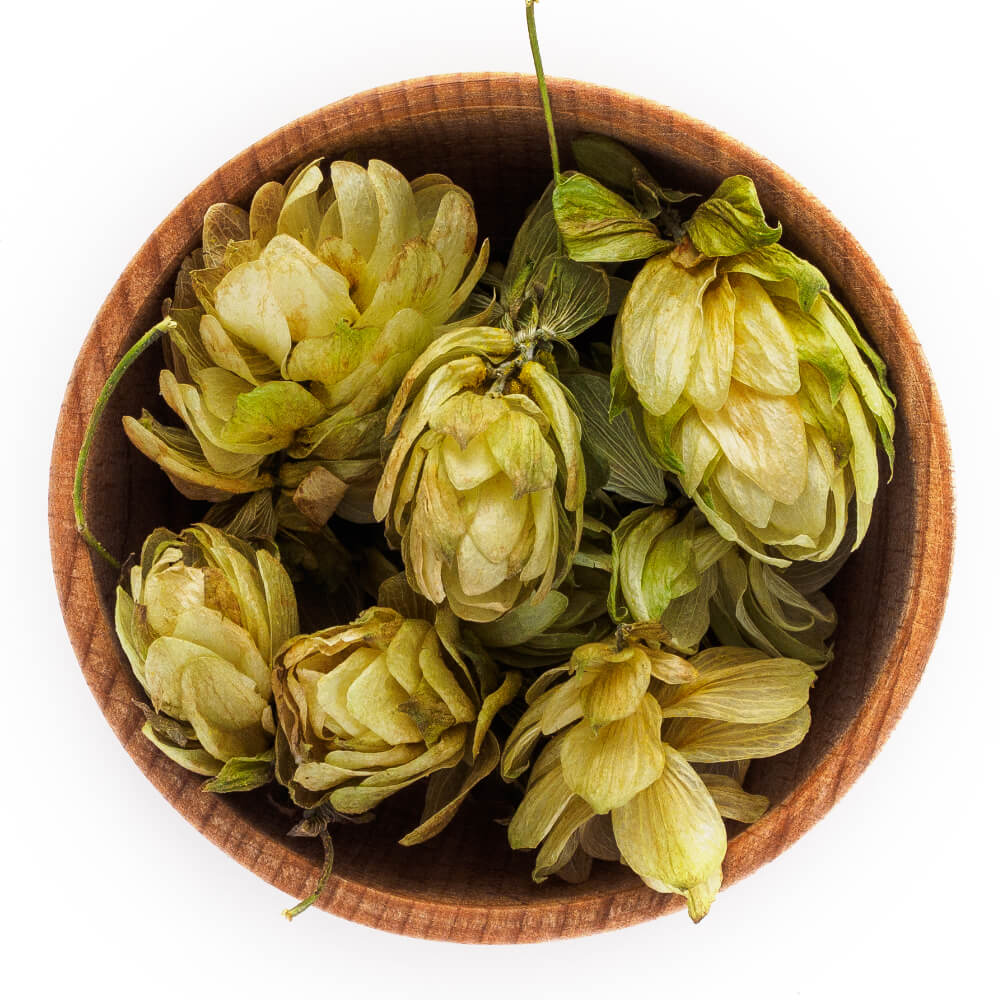 Humulus Humulus
