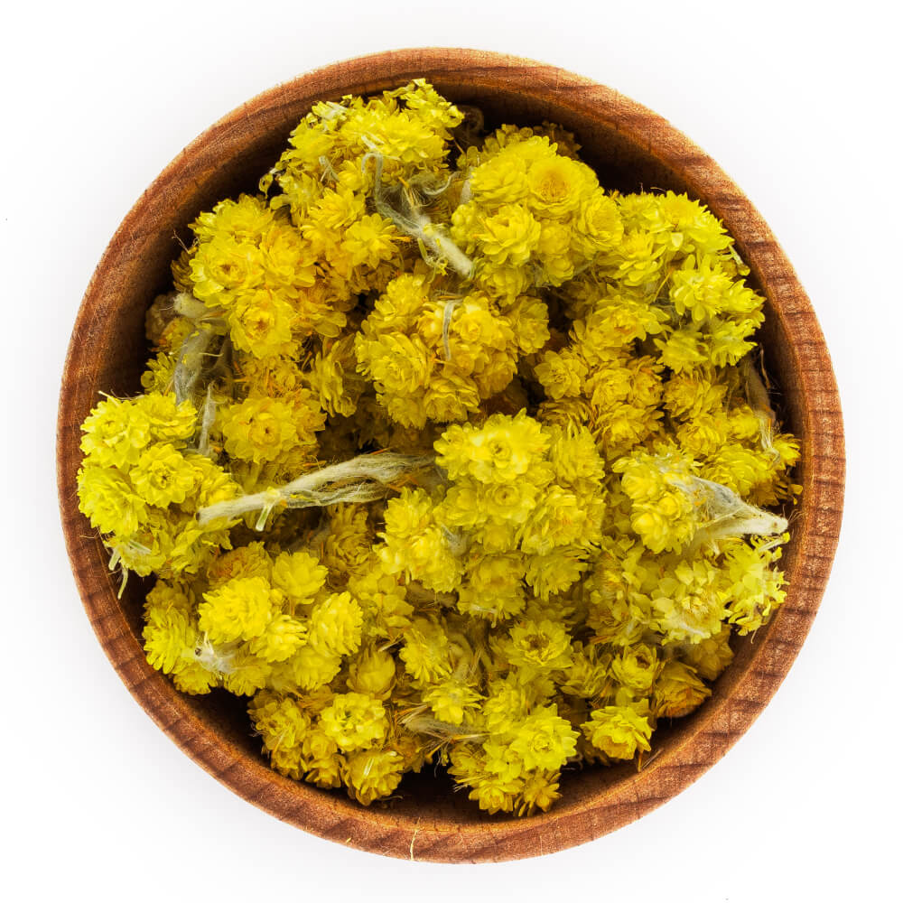 Helichrysum Arenarium Helichrysum Arenarium